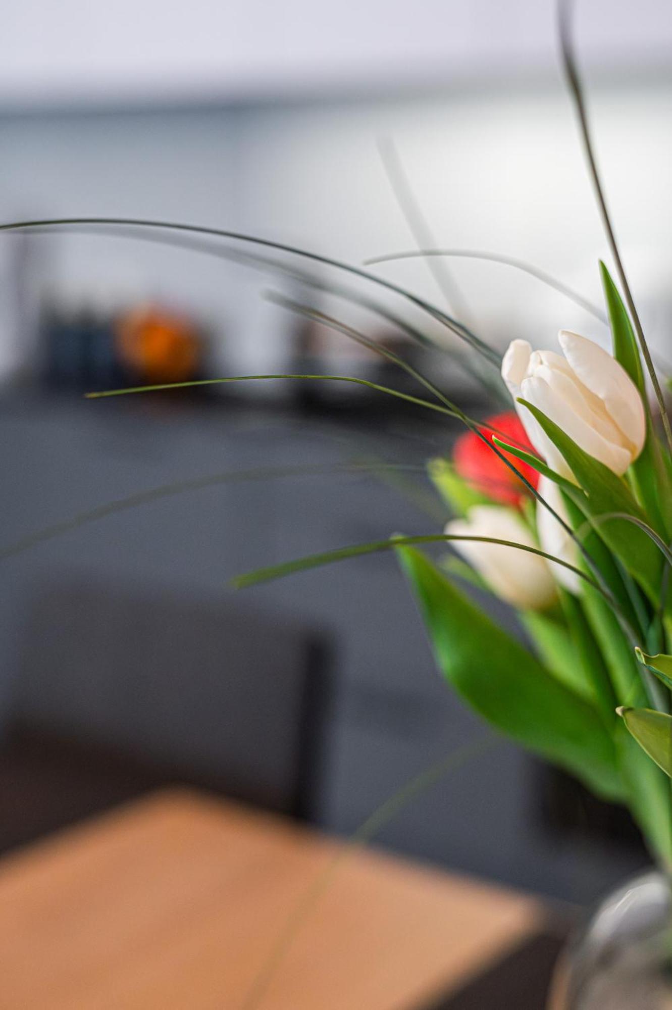 Hermes Premium - Billberry Apartments Gdynia Dış mekan fotoğraf